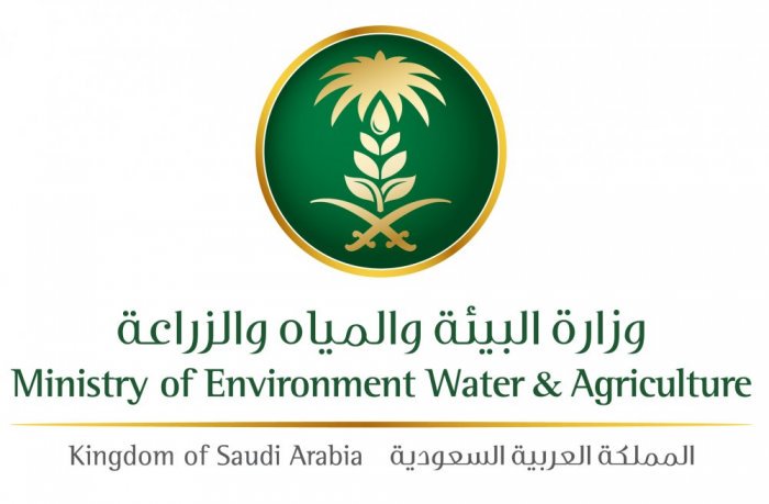 فرع “البيئة والزراعة” يفحص الأسماك واللحوم تقنيًا في أسواق المدينة المنورة